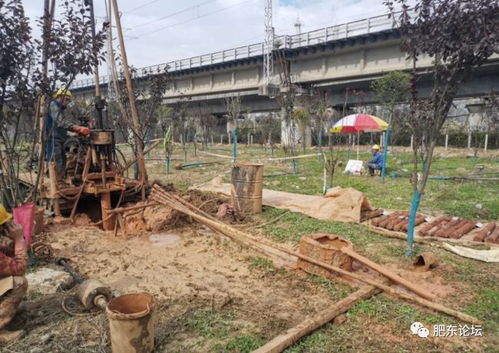 沿江高鐵肥東段迎關(guān)鍵節(jié)點(diǎn) 店埠河特大橋啟動(dòng)勘測(cè)，為2020年開(kāi)工建設(shè)鋪路